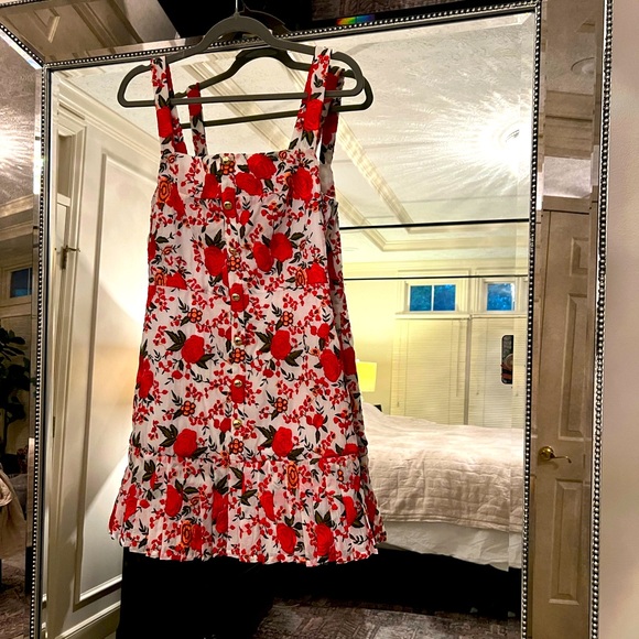 Gorgeous ALEXIS Embroidered Dress - Picture 8 of 10